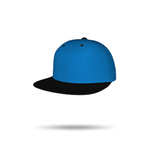 Snap Back Hat