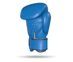 Velcro Boxing Gloves