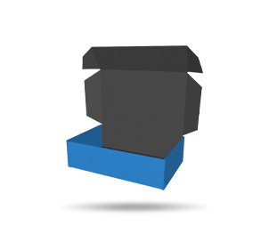 Custom Mailer Box