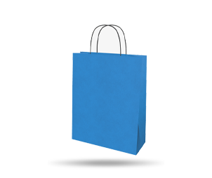 Paper Bag - Twisted Handles
